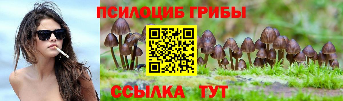 Галлюциногенные грибы Psilocybine cubensis Гагарин